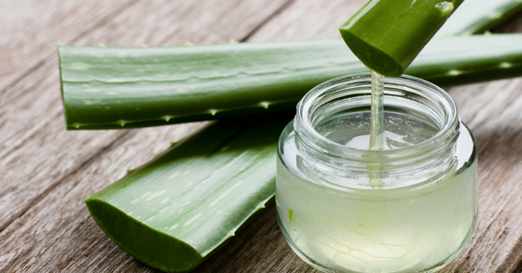 Aloe Vera