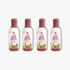 4 Pack Aloe Berry Nectar