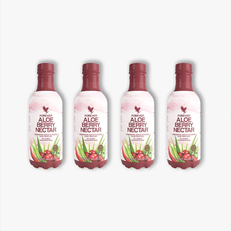 4 Pack Aloe Berry Nectar